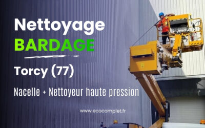 Nettoyage de Façade avec Bardage métallique d’un entrepôt à Torcy en Seine-et-Marne (77)
